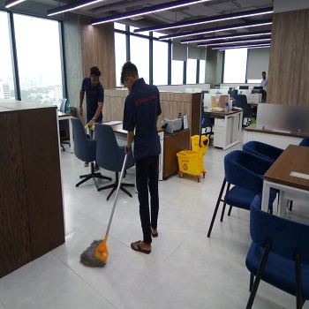 Professional cleaning service6